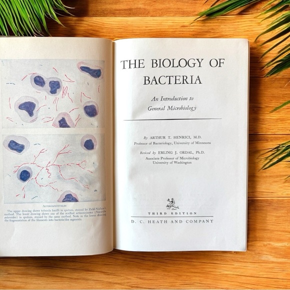 VINTAGE 1945 “The Biology of Bacteria” by Arthur T. Henrici - Hardcover - Picture 6 of 12